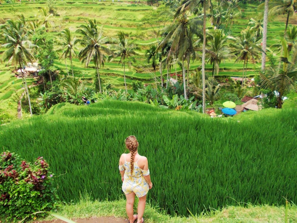 Tegalalang Rice Terraces near Ubud  - Ultimate 3 Week Itinerary for Singapore, Malaysia and Bali [+ Trip Costs]!