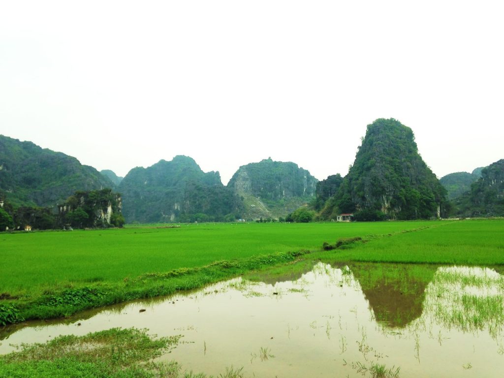 Tam Coc in Ninh Binh Province - 2 Weeks In Vietnam Itinerary [North To South] + How Much It Costs!