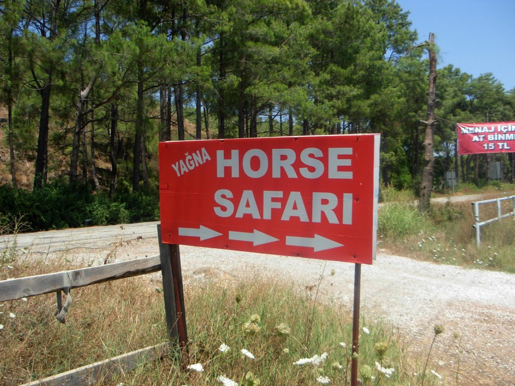 Horse Safari: Marmaris Excursions - 7 Very Best Day Trips From Marmaris, Turkey